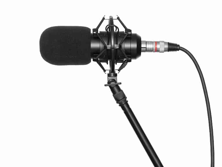 Recording Microphone Cover 1
